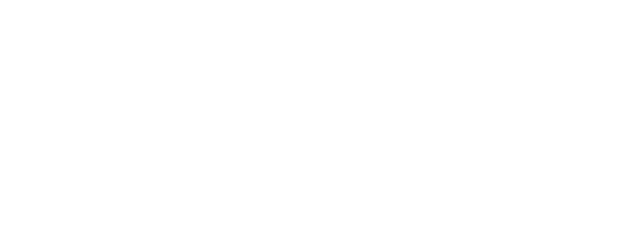 Exact Control Systems